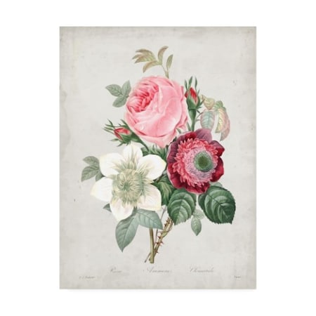 Pierre Redoute 'Redoute Bouquet IV' Canvas Art,14x19